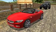 Juego: Real Stunts Drift Car Driving 3D