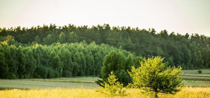 Trójkąt lubelski: Kazimierz, Puławy, Nałęczów....