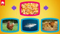 Jeu: What do animals eat