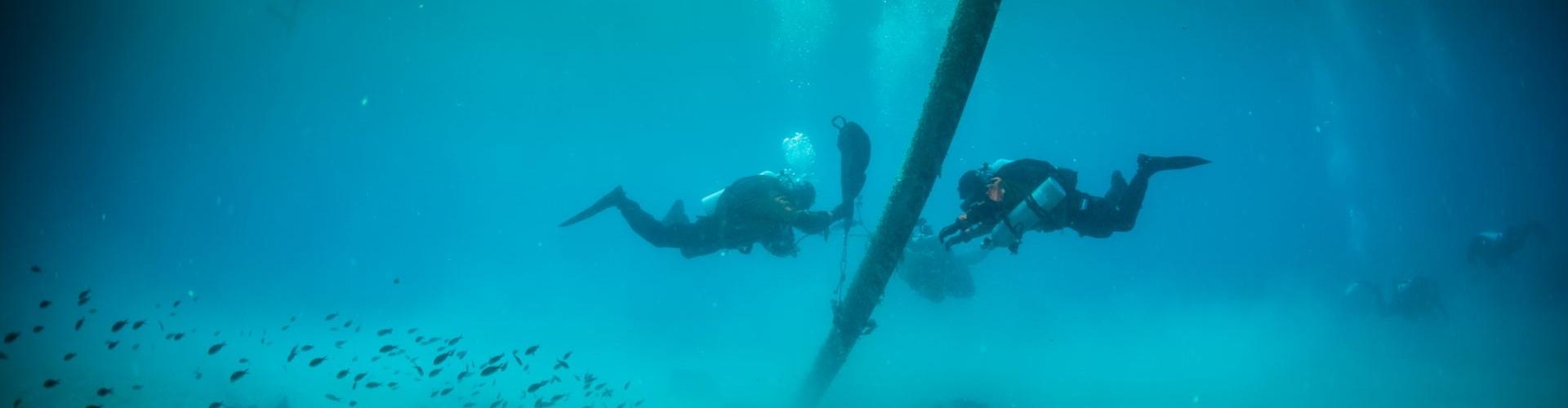 Oczyszczanie oceanów z organizacją pozarządową „Healthy Seas”