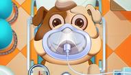 Juego: Animal Daycare