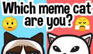 Spiel: Which meme cat are you?