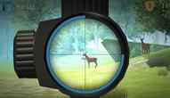 Jeu: Hunter Training