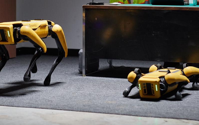 Spot, czworonożny robo-pies firmy Boston Dynamics przyjechał do Polski