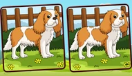 Juego: Dogs Spot The Differences