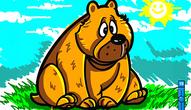 Game: Coloring Books Animals