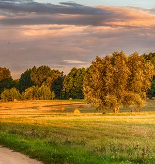 Podlasie