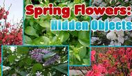 Game: Spring Flowers Hidden Objects