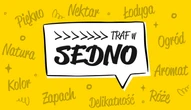 Гра: 