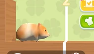 Game: Hamster Maze Online