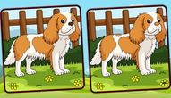 Jeu: Dogs Spot The Differences