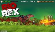 Spiel: Rio Rex