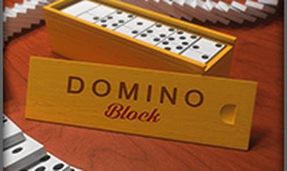 Spiel: Domino Block