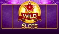 Jeu: Wild Slot