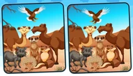Game: Spot 5 Differences Deserts