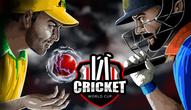 Game: Cricket World Cup