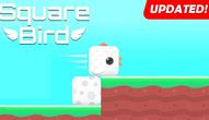 Spiel: Square Bird