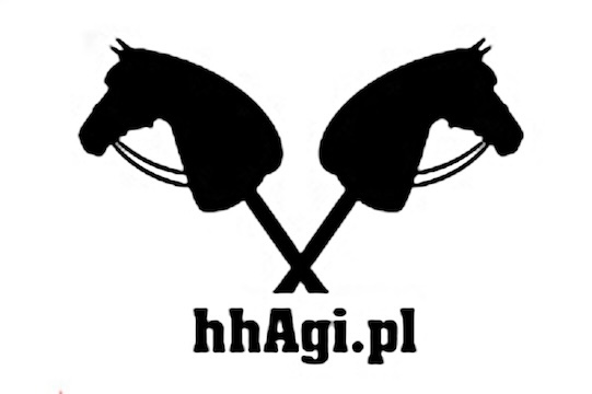 hhAgi.pl