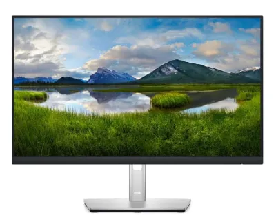 Dell P2422HE/5Y