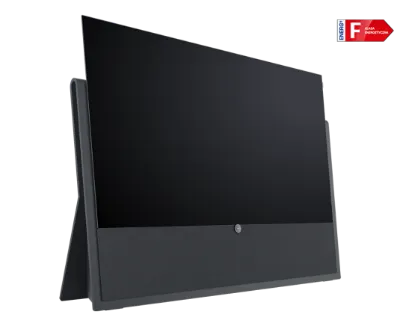 Loewe iconic i.65 (graphite grey)