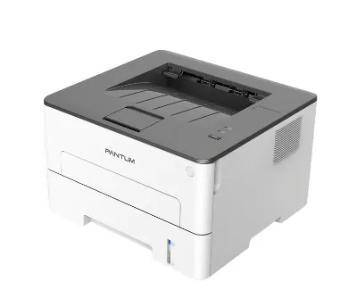 PANTUM P3020D Mono Duplex