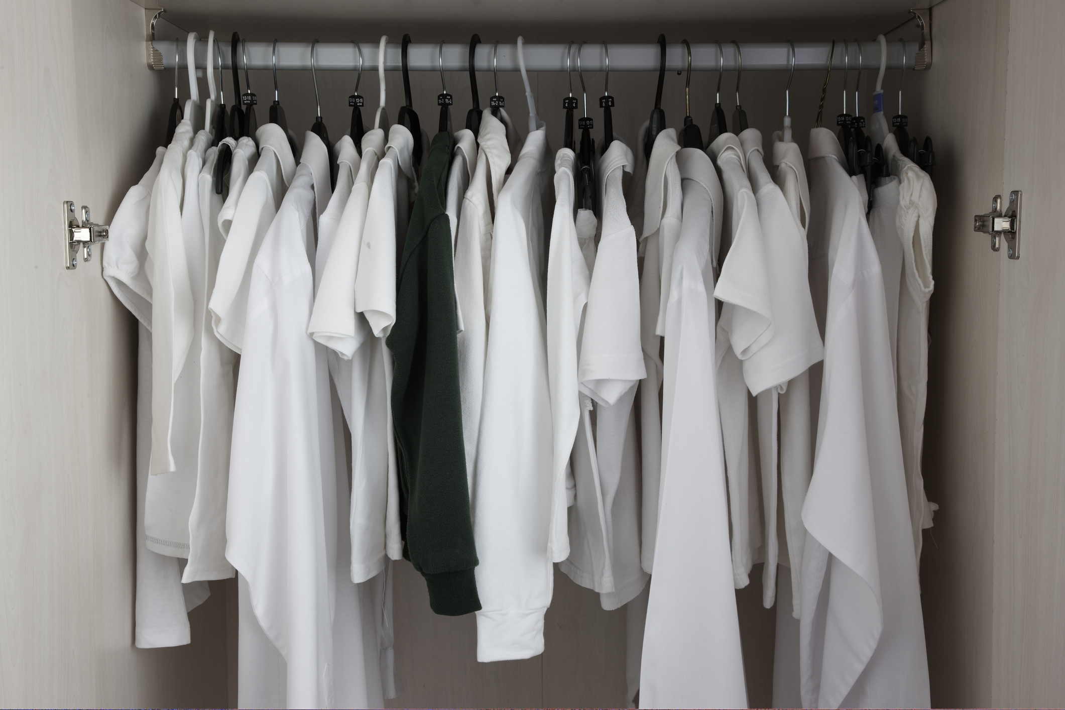 Футболки в гардеробе. Вешалка для одежды. Гардероб вещи на вешалках. Белая одежда в гардеробе. Одежда висит на вешалке.