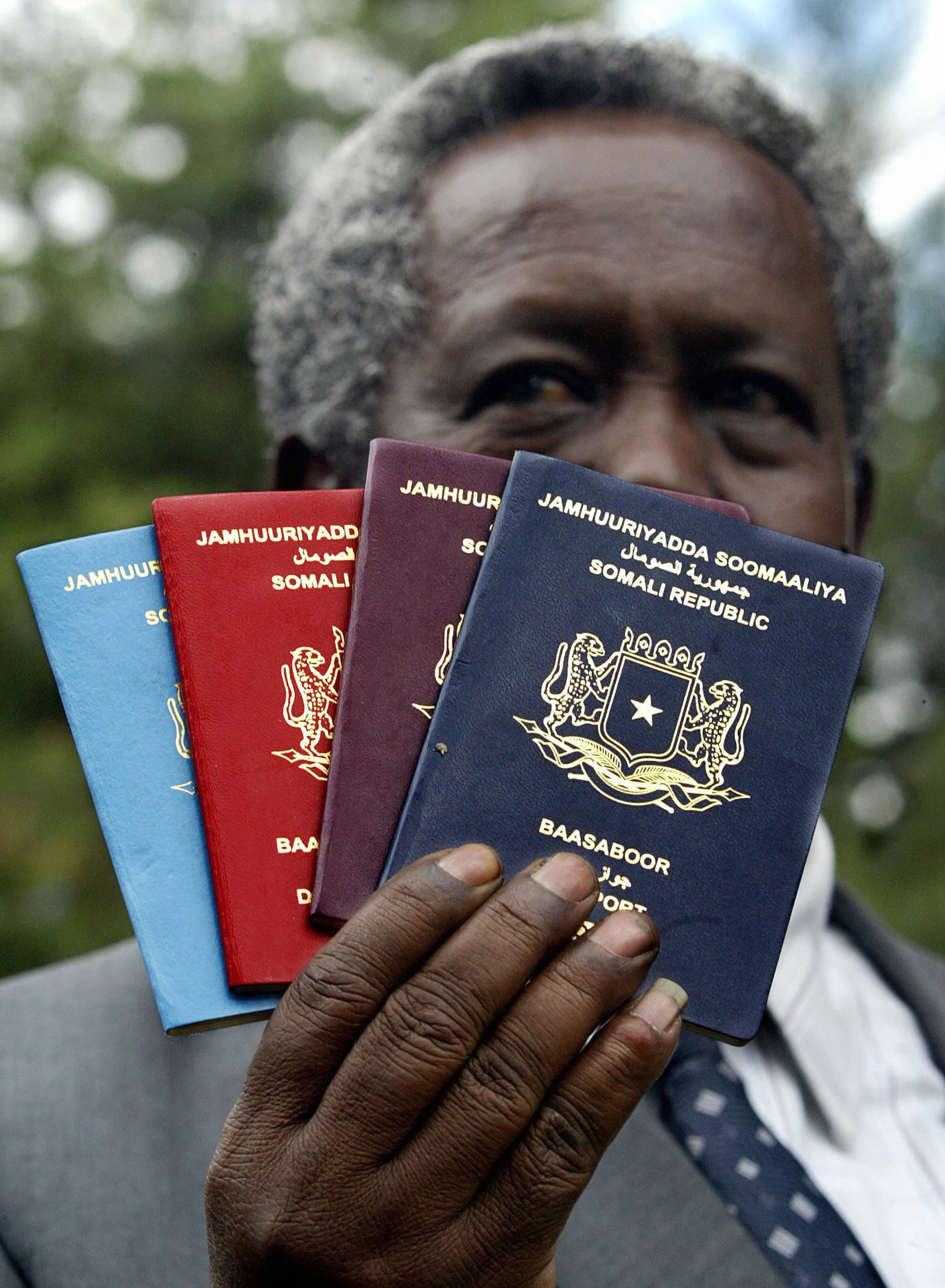 The world's 10 most powerful passports for 2020 – new report – THE AFRICAN  COURIER. Reporting Africa and its Diaspora!