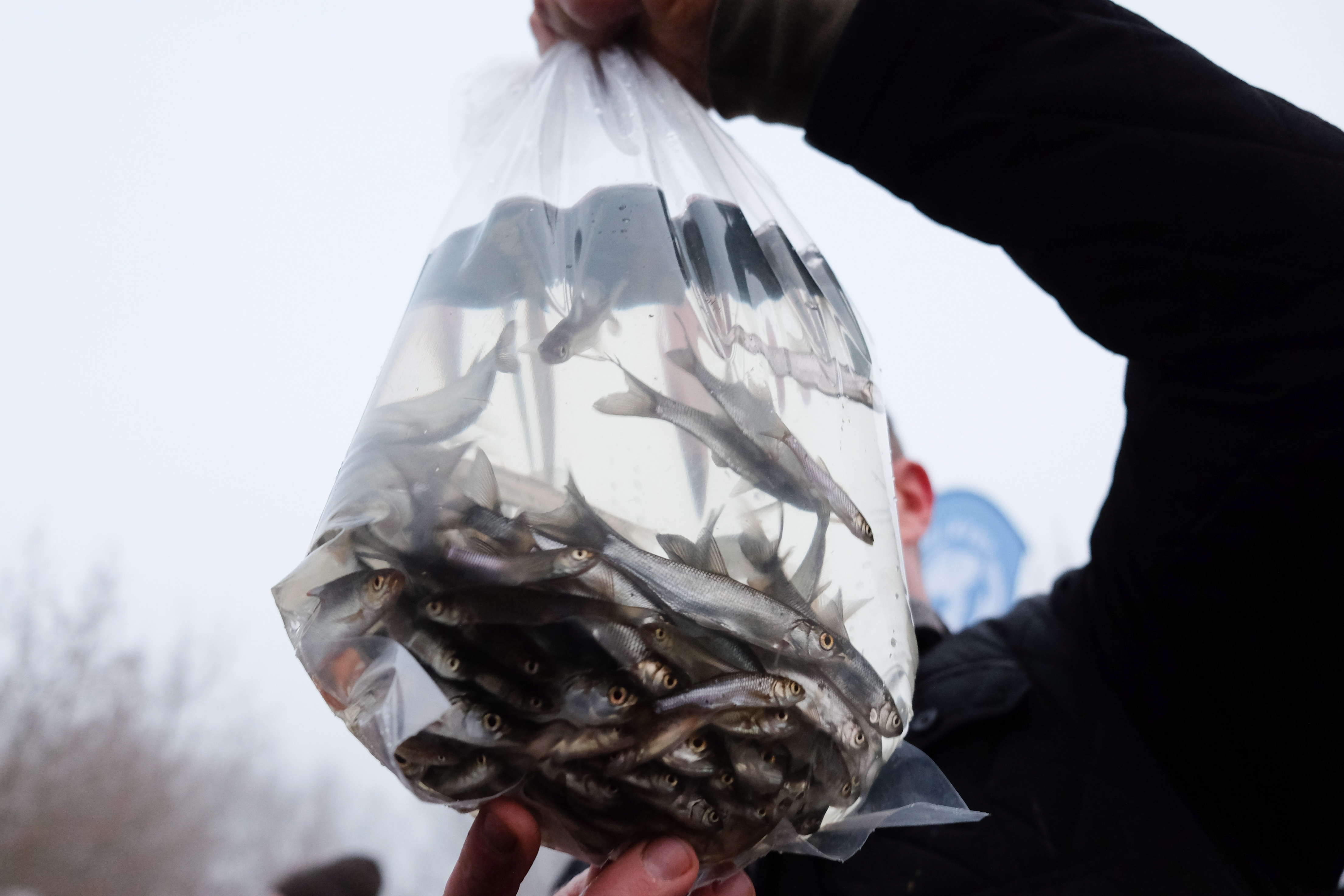 Wielkie zatrucie Warty w Poznaniu. Szef firmy Bros po sześciu latach stanie przed sądem - Wiadomości