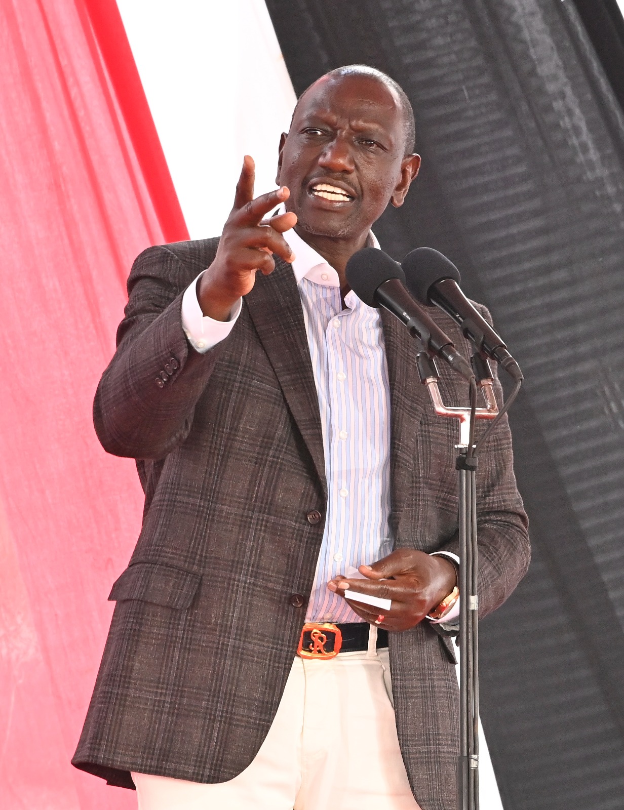 Africa has potential to feed itself and thrive through agricultural exports - President Ruto asserts