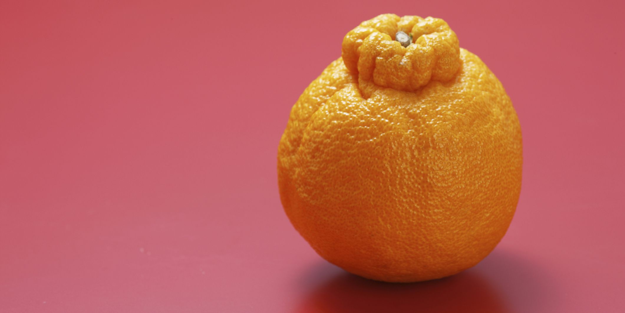Everything You Need to Know About Sumo Oranges - TheSkinny