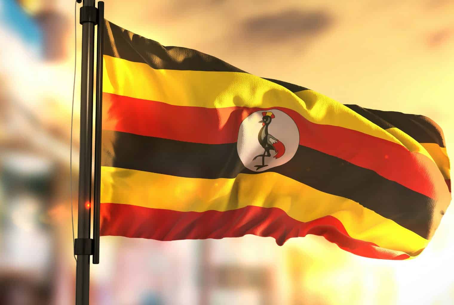 Bank of Uganda says cryptocurrency has no place in domestic market |  Business Insider Africa