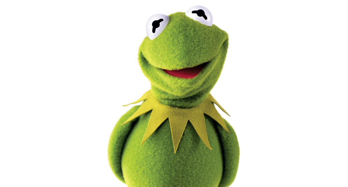Kermit Kończy 65 Lat Rozmowa Z Kermitem Kultura Newsweekpl 