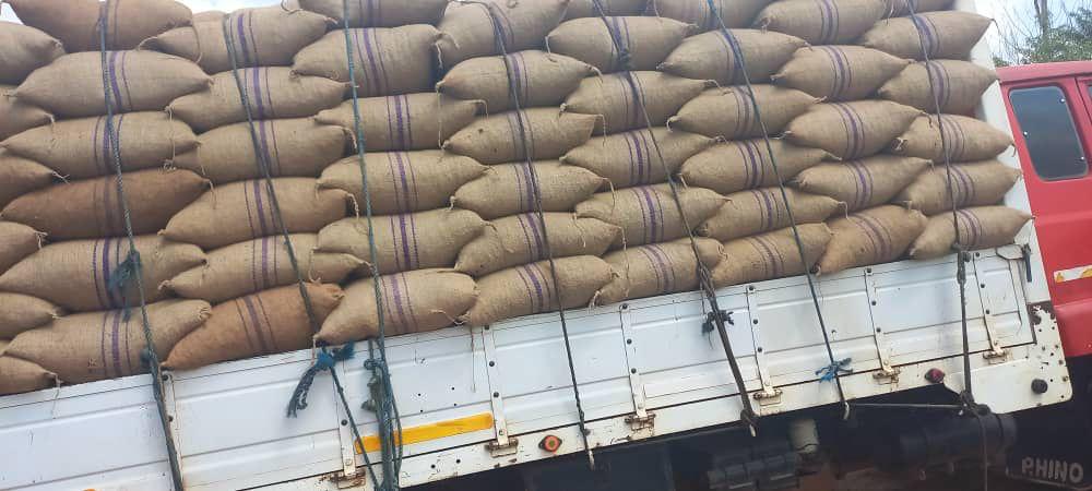 Police intercept 336 bags of cocoa beans being smuggled to Ivory Coast