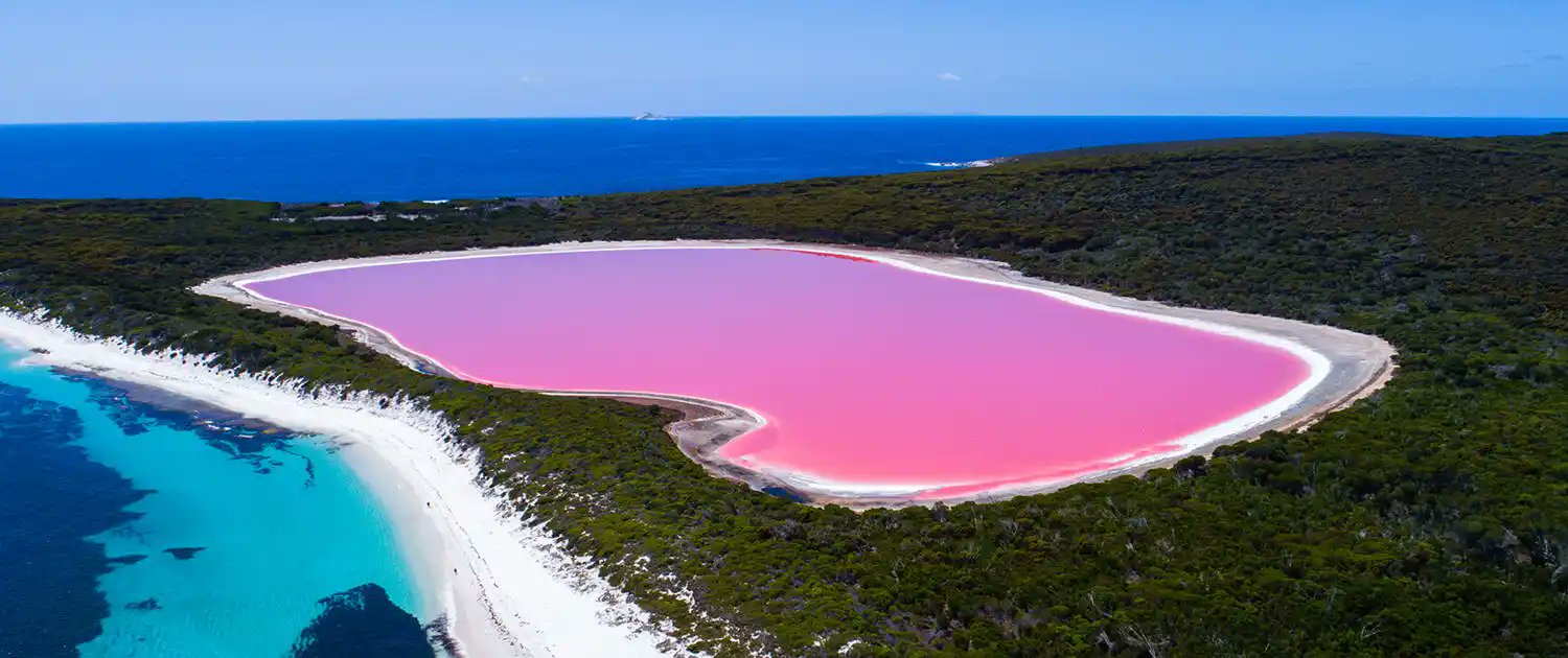 Amazing facts about the pink lake in Senegal that's almost as salty as the  Dead Sea | Pulse Nigeria