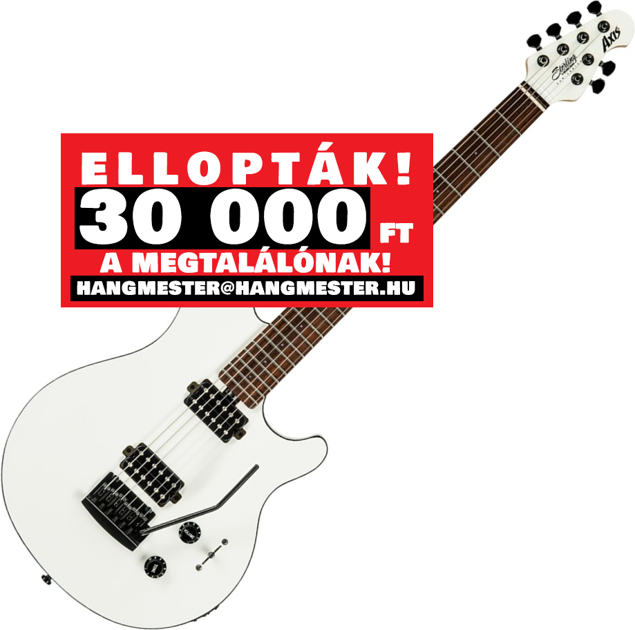 Ellopták Pataky Attila zenésztársának felbecsülhetetlen értékű gitárját, ez  jár a megtalálónak - Blikk