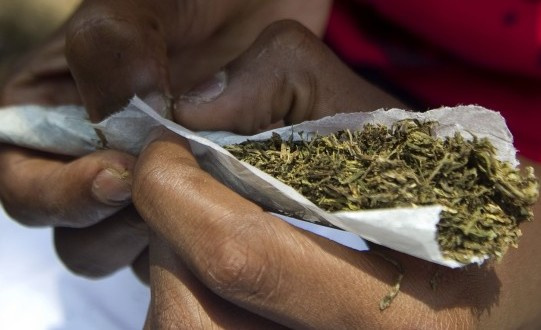 Parliament passes NACOC bill granting licenses for \'wee\' cultivation in Ghana