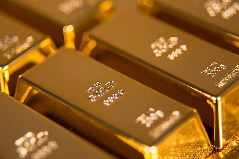 Ile można zarobić na poszukiwaniu złota? Sprawdziliśmy i... jesteśmy pod  wrażeniem | Newsweek
