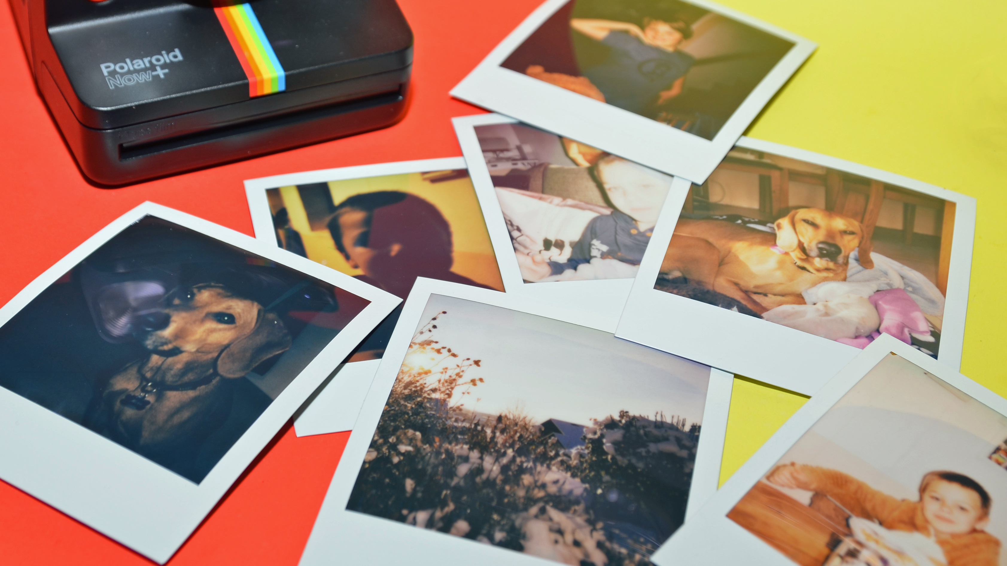 Sofortbildkameras von Polaroid, Kodak, Instax & Co.: Fotos wie früher ab 70  Euro | TechStage