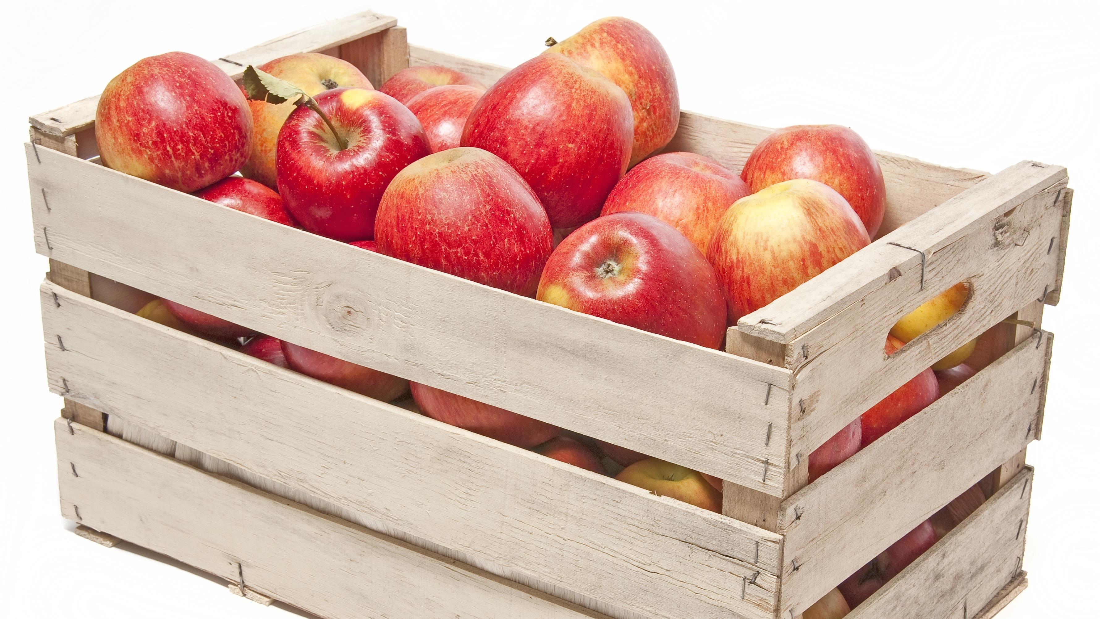Czesi wykryli pestycydy w polskich jabłkach