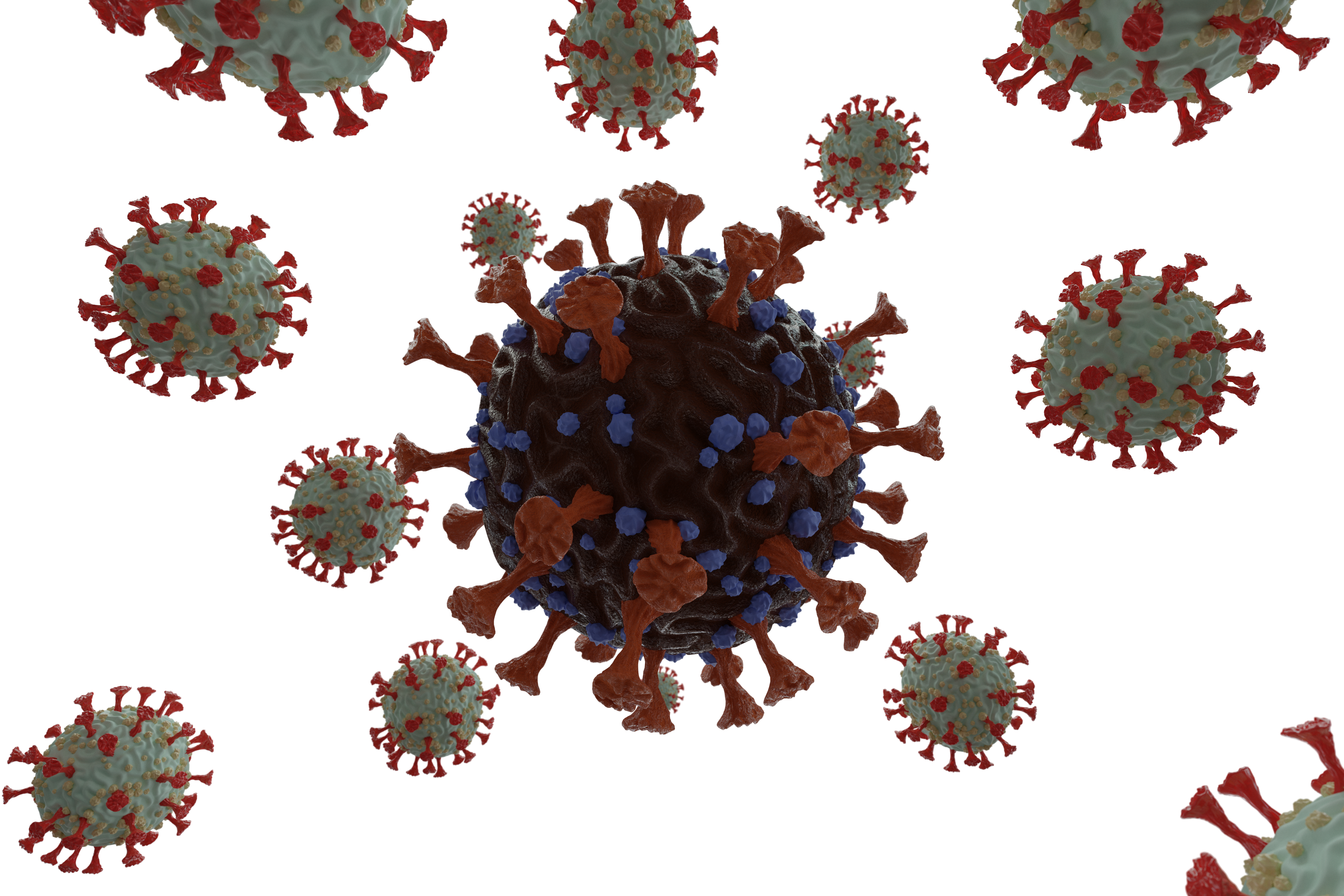 Find viruses. Новый штамм коронавируса Цербер.