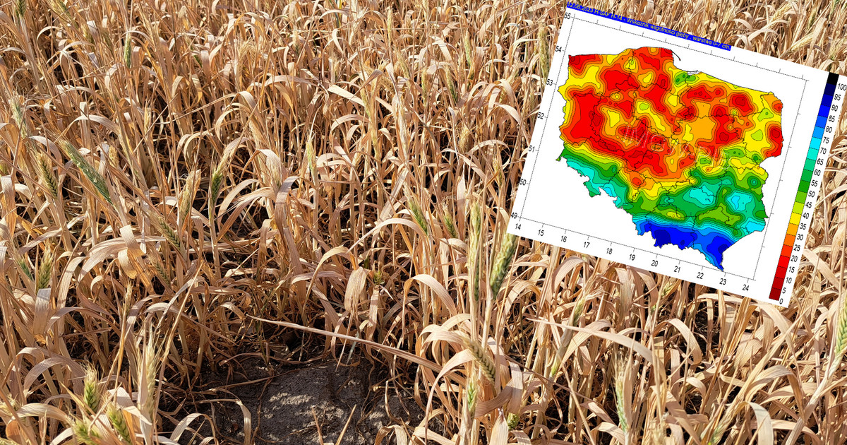 Nadciąga największa susza od lat. "Oficjalne dane tego nie pokażą"