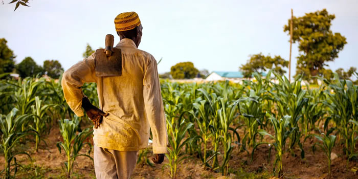 Agric sector grew at 8.4% which is the highest since 1992 — Akoto