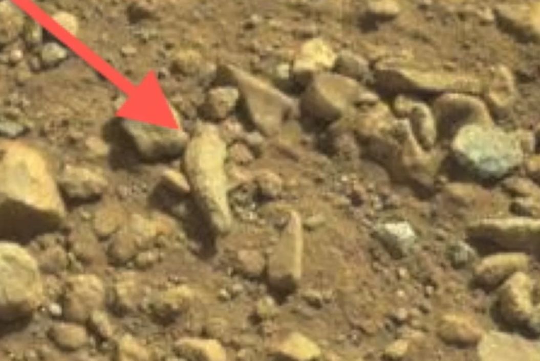 Ja Jestem Ufoludek Na Marsie Mam Ogródek Dziś dzień UFO. Zobacz, co znaleźli na Marsie! ZDJĘCIA - Dziennik.pl