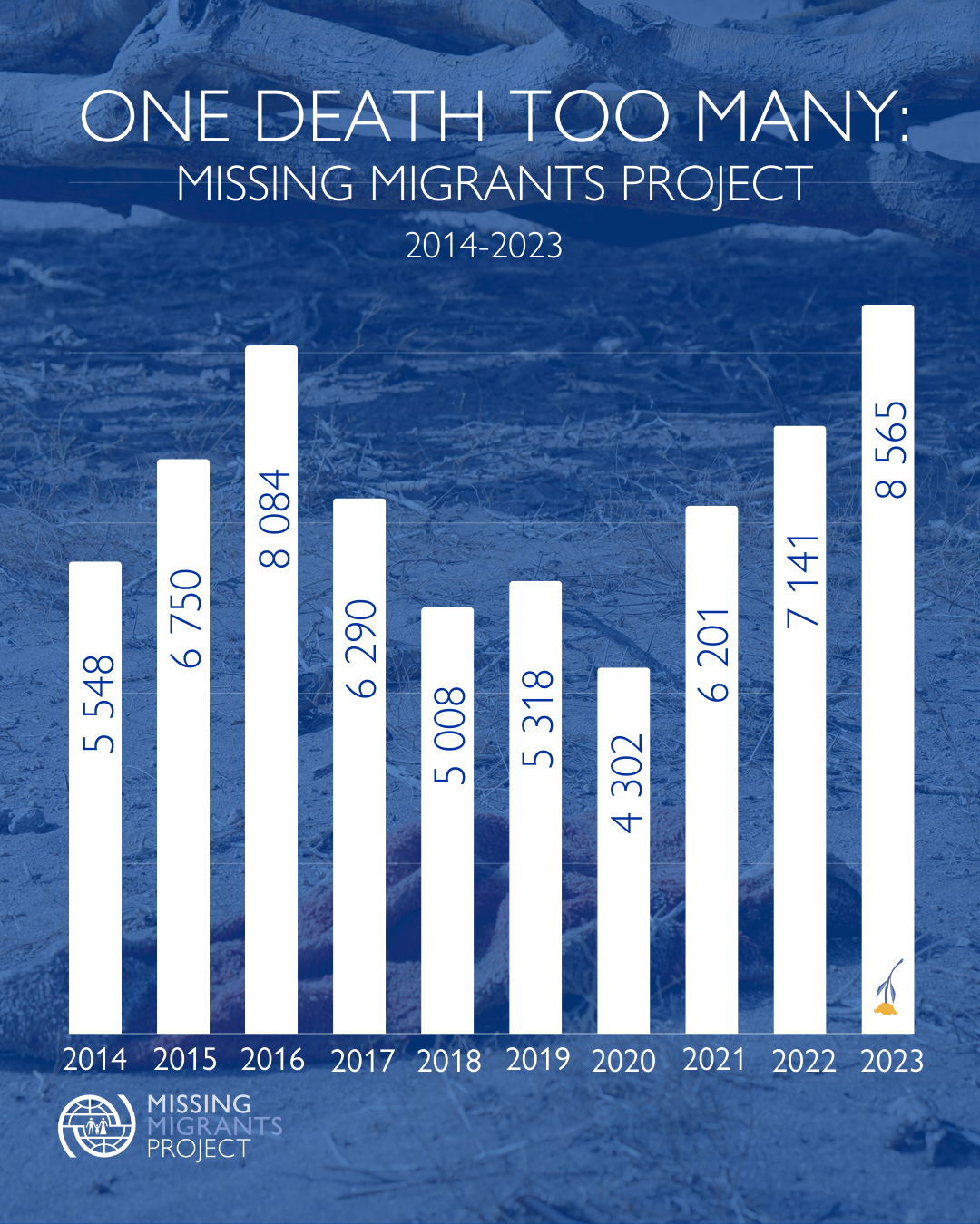 8,565 migrants died in 2023 — UN