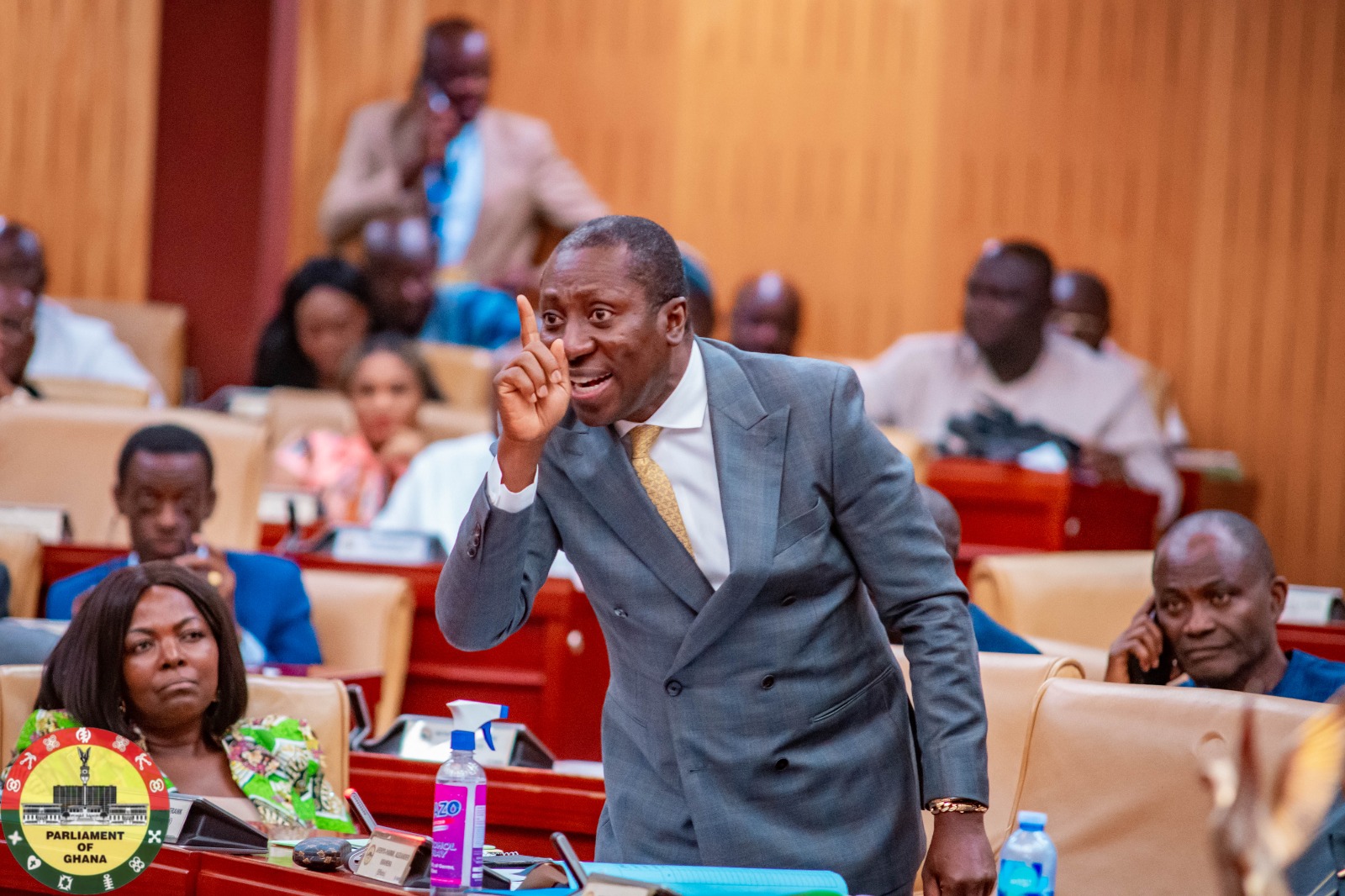 MPs would have voted against LGBTQI bill if it was a secret ballot – Afenyo-Markin