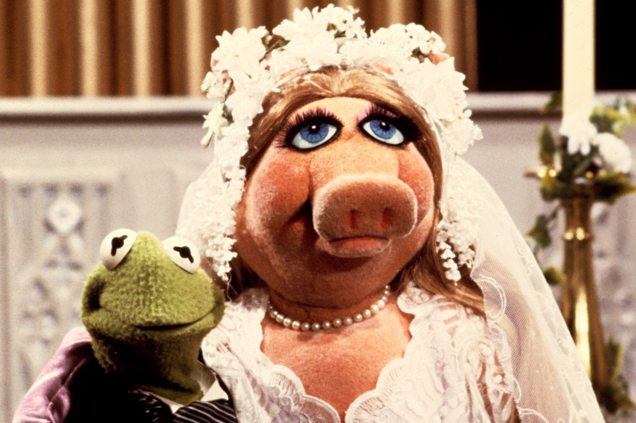 Miss Piggy bierze ślub z Kermitem