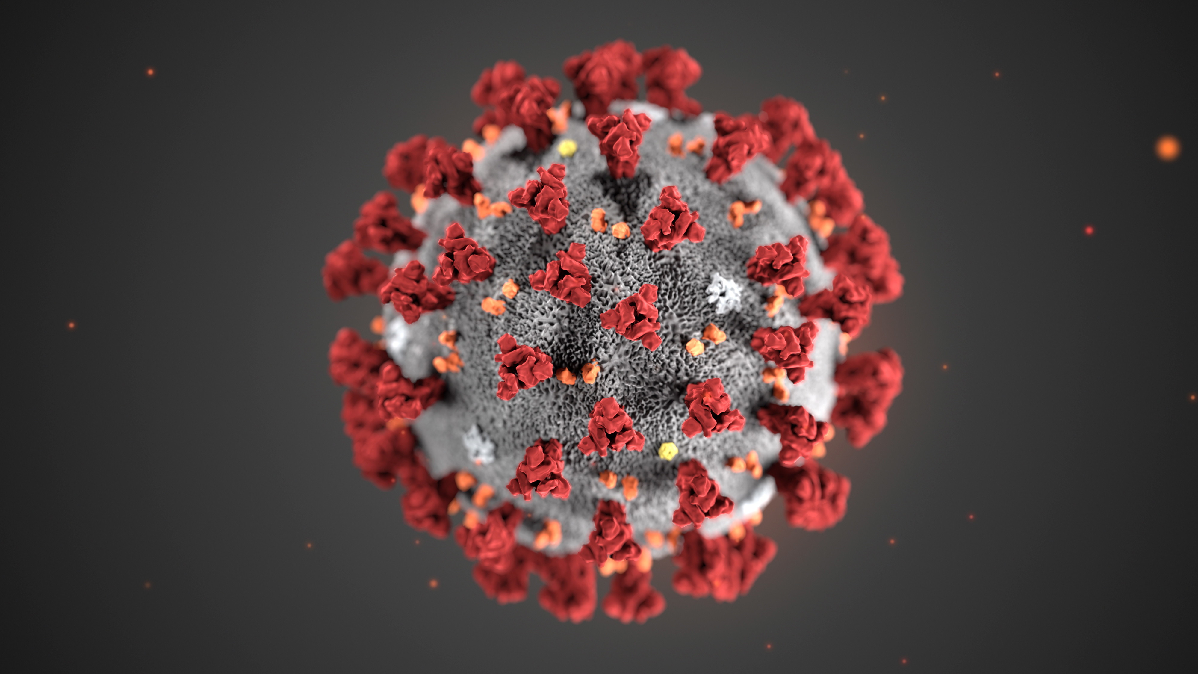 Jak wygląda koronawirus SARS-CoV-2? Naukowcy analizują jego strukturę