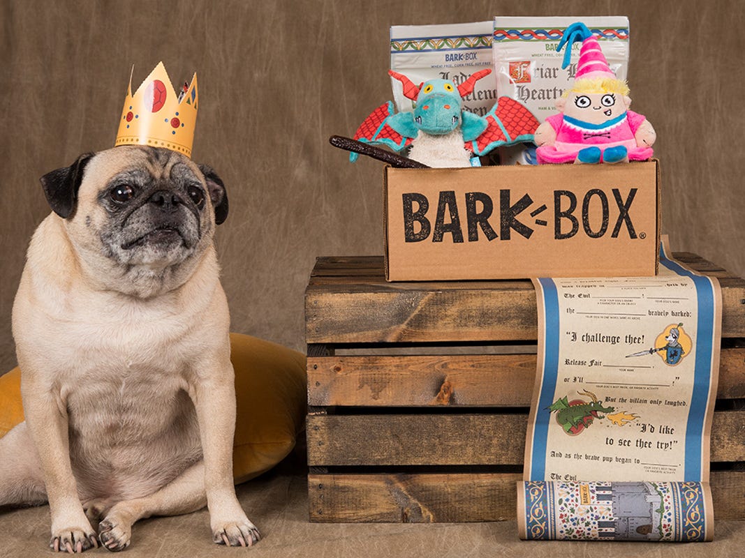 BarkBox is arguably the most popular pet subscription box I tried it and can see why dogs and their owners love it Business Insider Africa