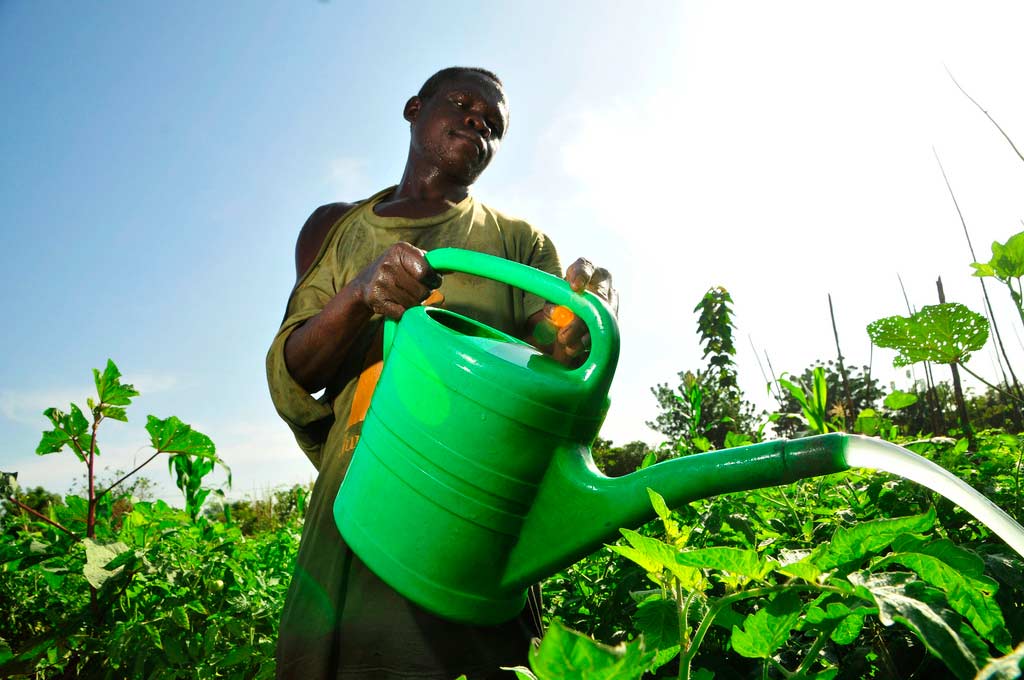 Banks in Ghana indirectly stifling agric growth - Fatima Alimohamed