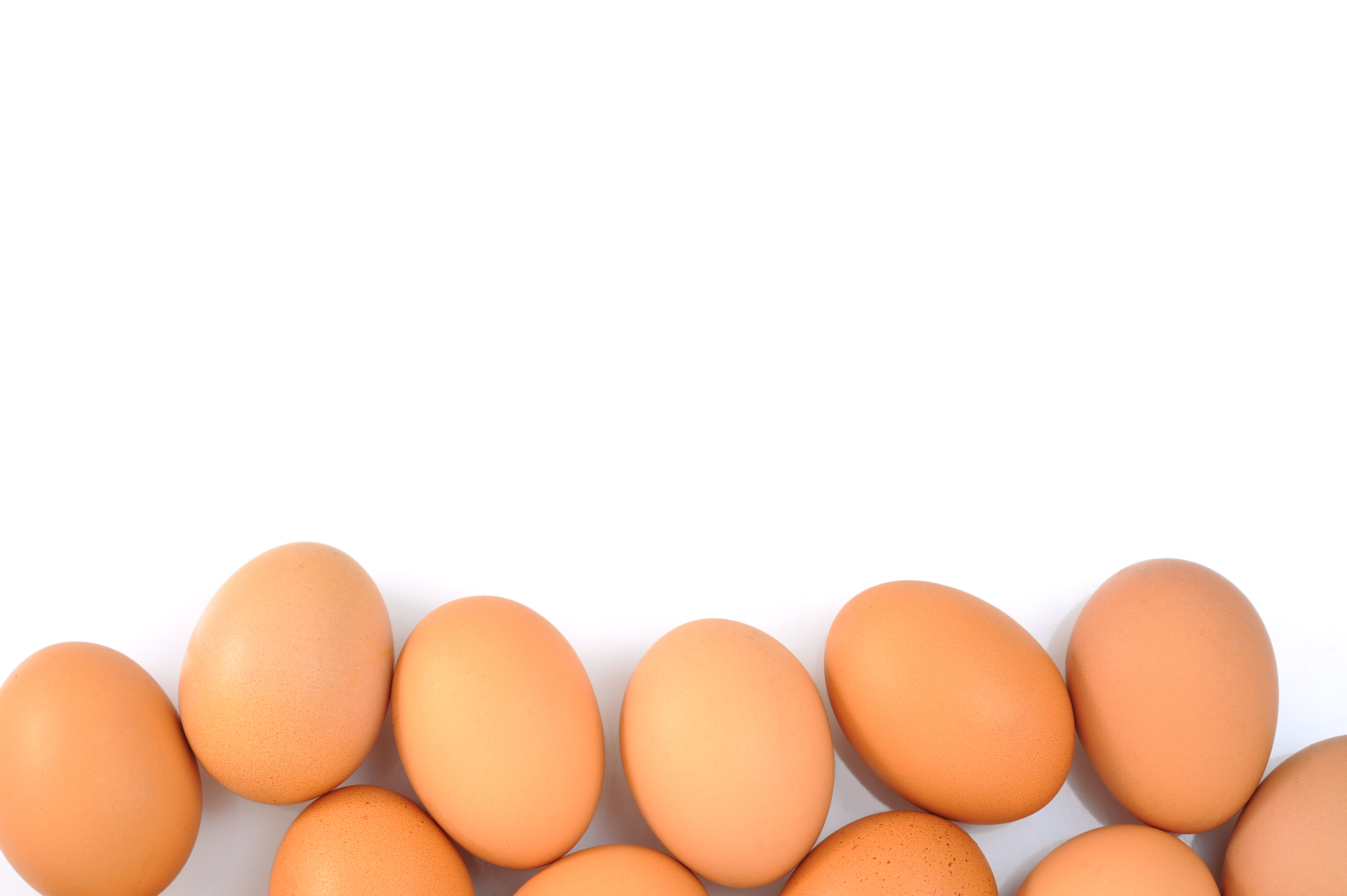 Яйца снизу. Яйцо домашнее куриное. Яйцо куриное на белом фоне. Домашние яйца на белом фоне. Яйца баннер.